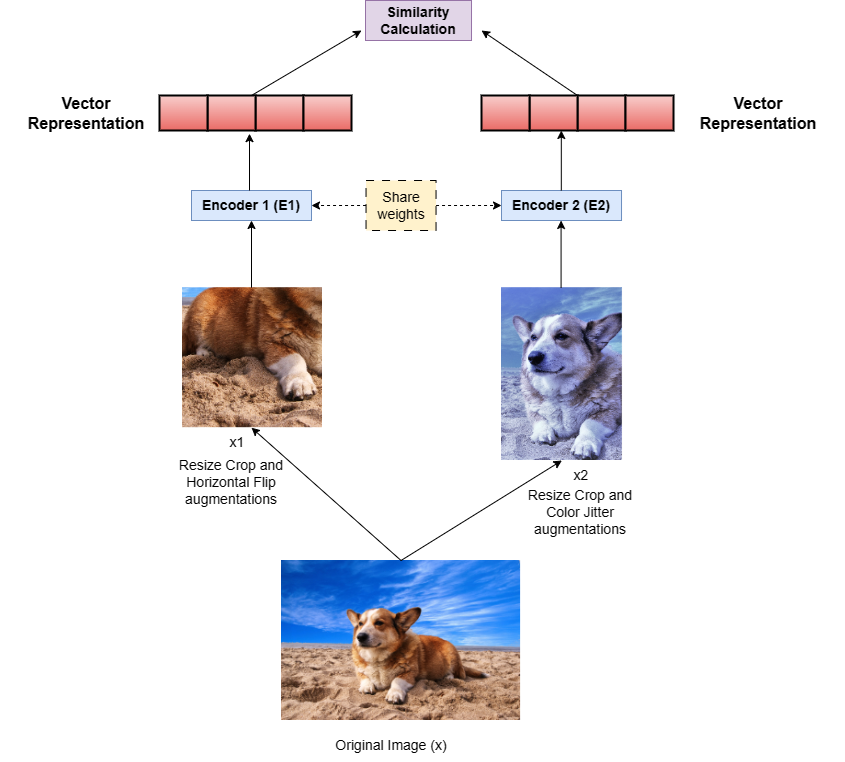 Figure 3 : A Siamese Network consisting of two encoders trained in parallel to generate representations of images, ensuring that representations of images from the same class are similar to each other. 