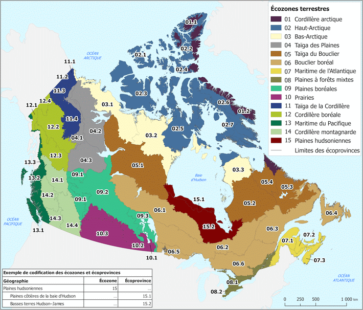 Écozones et écoprovinces terrestres du Canada