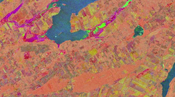 Figure 3: RGB rendering of the first three FPC scores computed from 2019 Sentinel-1 time series data for the Bay of Quinte area.