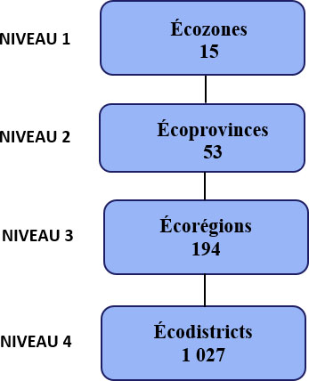 Figure 1. Hiérarchie de la Classification écologique des terres