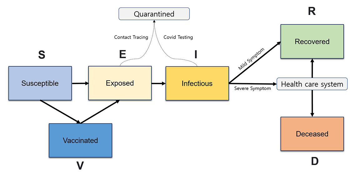 Figure 3 – Simplified structure of a SEIRDV epidemiological model