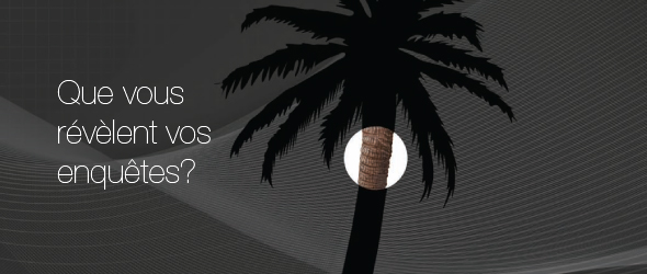 Silhouette en noir et gris d'un palmier. Une zone circulaire en couleur accentue une partie du tronc. L'image est accompagnée du texte « Que vous révèlent vos enquêtes? » 