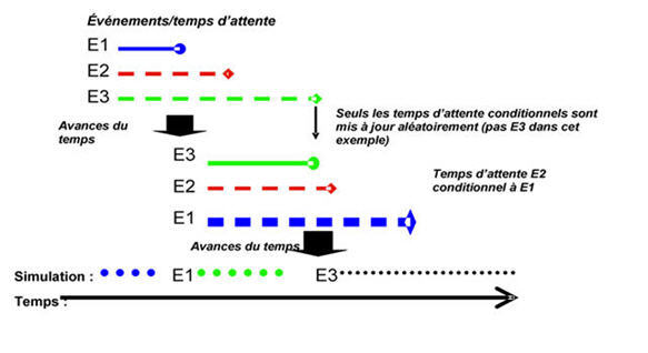 Figure 1 : Évolution d'une trajectoire de vie simulée