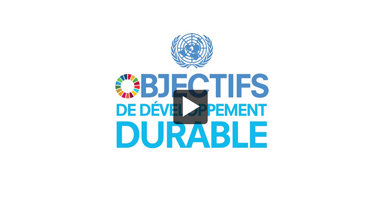 Thumbnail - Vidéo: Réunion du Groupe d'experts des Nations Unies et de l'extérieur chargé des indicateurs relatifs aux objectifs de développement durable