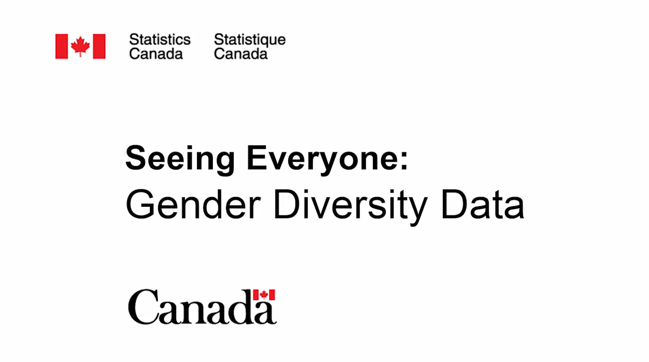 Seeing Everyone: Gender Diversity Data