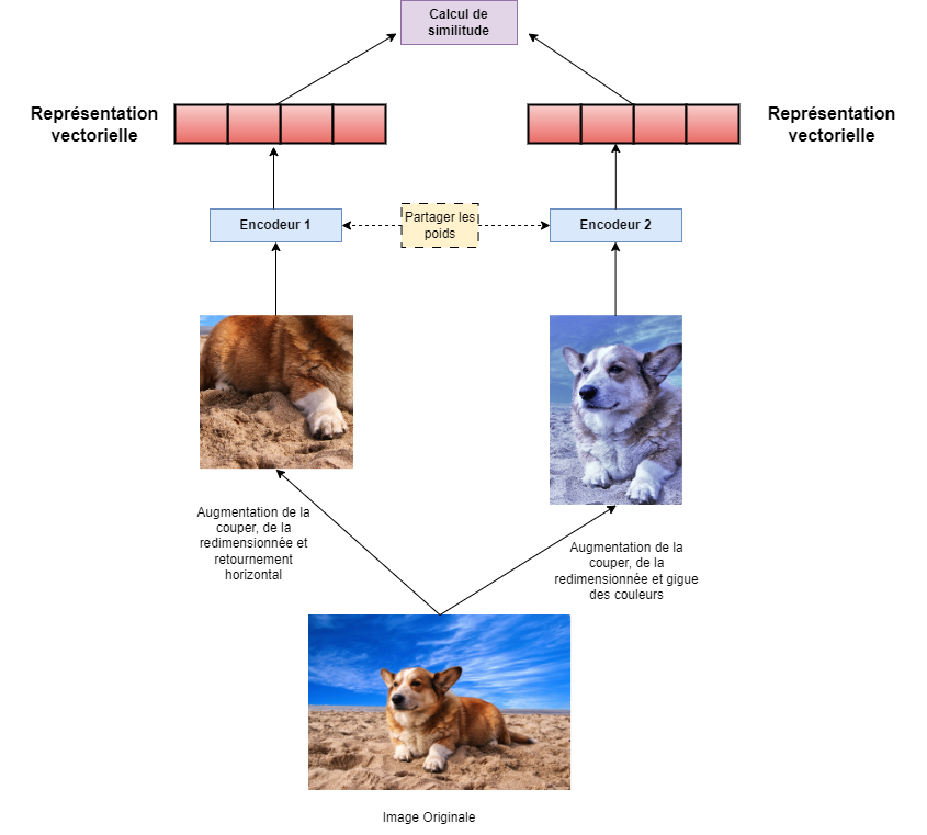 Figure 3. Un réseau siamois composé de deux encodeurs entraînés en parallèle pour générer des représentations d’images, garantissant que les représentations d’images de la même classe sont semblables les unes aux autres. 