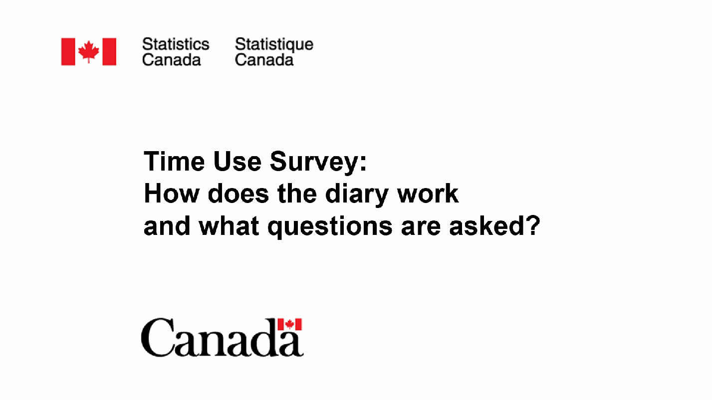 Time Use Survey: How does the diary work and what questions are asked? 
