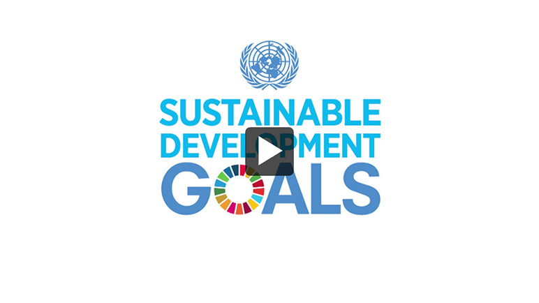 Thumbnail - Video: Meeting of the UN Inter-agency and Expert Group on Sustainable Development Goal Indicators