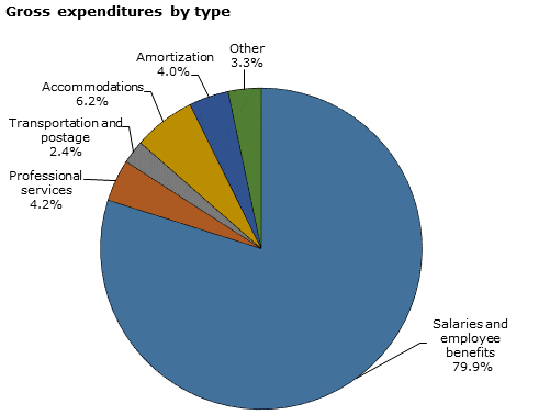 Pie chart - Gross expenditures by type
