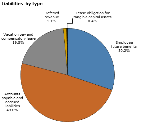 Pie chart - Liabilities by type