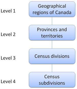 Figure 1 shows the hierarchical relationship between the four levels of the SGC 2011.