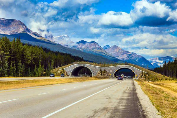 Admirez ces données : les chiffres relatifs aux routes canadiennes et aux trajets au Canada