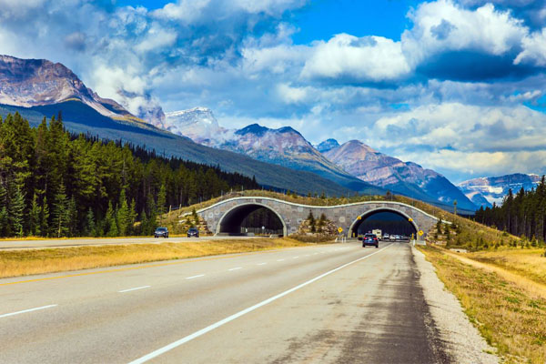 Merge into these data: the numbers on Canada’s roads and road trips