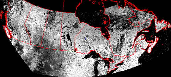 Image entière brute reprojetée de l’ IVDN de MODIS, semaine julienne 34, 2009