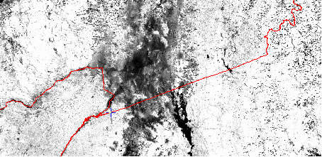 Image brute reprojetée de l’ IVDN de MODIS au-dessus des régions d’Ottawa et Montréal, semaine julienne 34, 2009