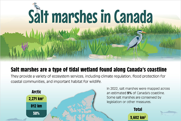 Salt marshes in Canada