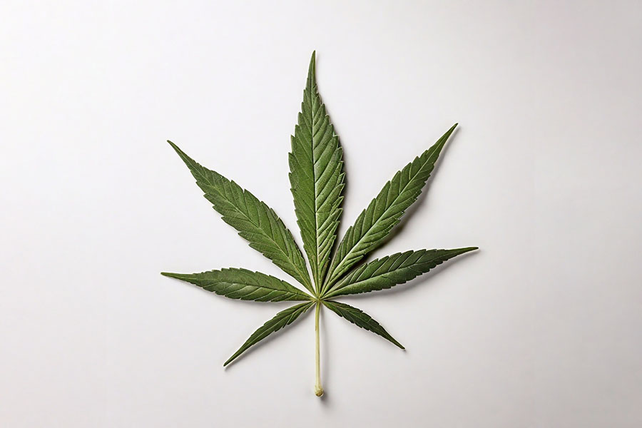 National Cannabis Survey, 2023