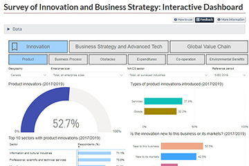 Survey of Innovation and Business Strategy: Interactive Dashboard