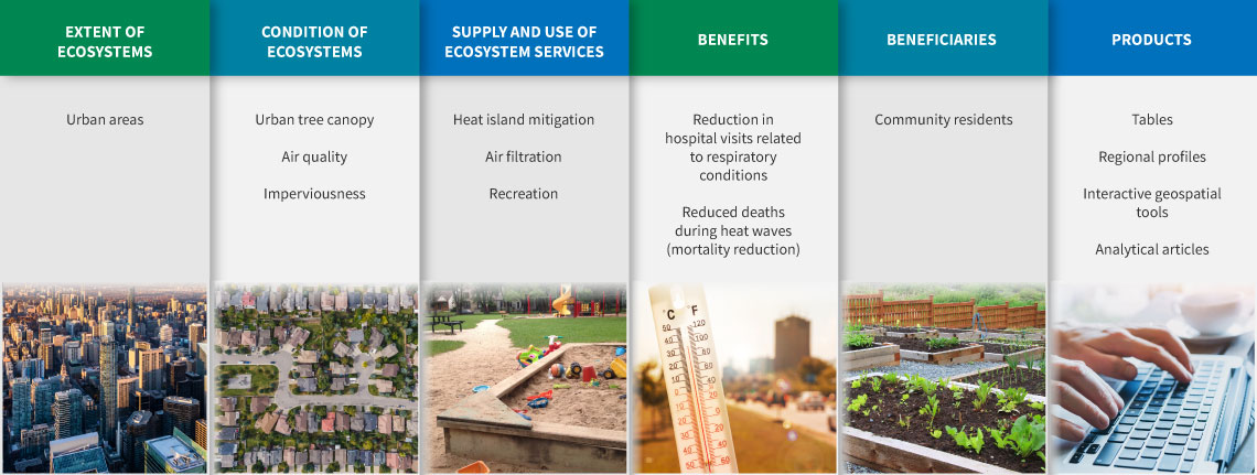 Example of ecosystem accounts for urban areas