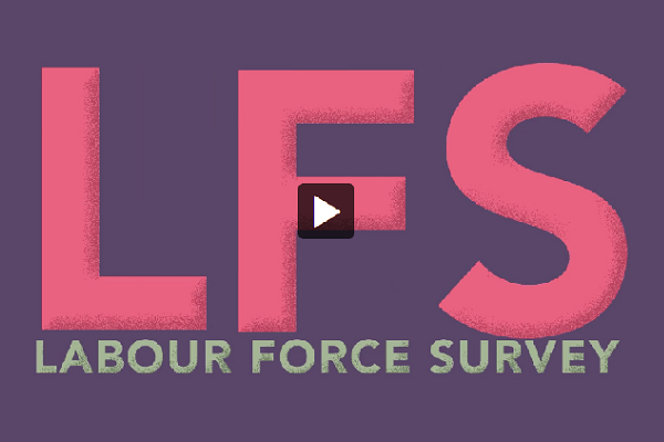 What is the Labour Force Survey?