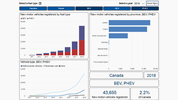 New motor vehicle registrations: Quarterly data visualization tool