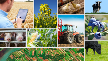 Recensement de l'agriculture